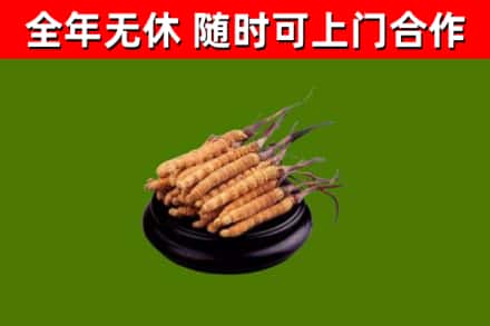 阳曲县烟酒回收冬虫夏草.jpg