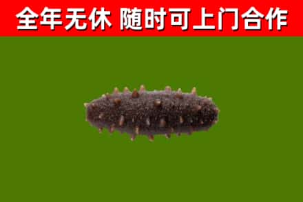 阳曲县烟酒回收干海参.jpg